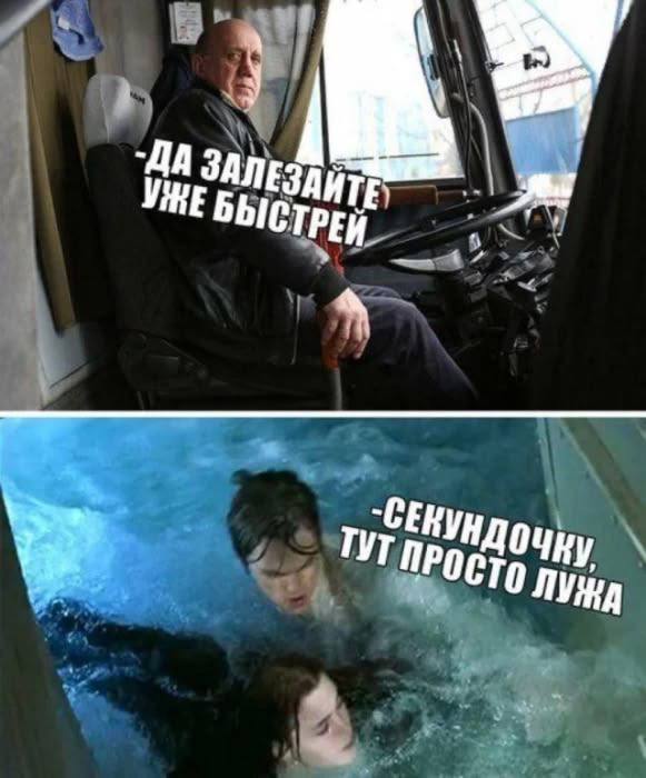 Шутки, которые хочется отправить друзьям прямо сейчас