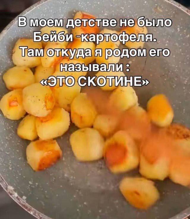 Смешные находки из интернета на любой случай жизни