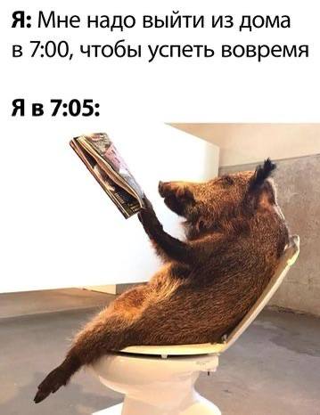 Когда обычная картинка вызывает приступ смеха