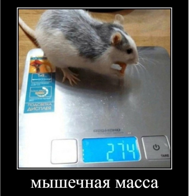 Когда повседневная жизнь превращается в комедию