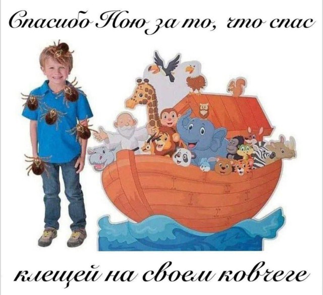 Все важные дела подождут, пока мы смотрим мемы
