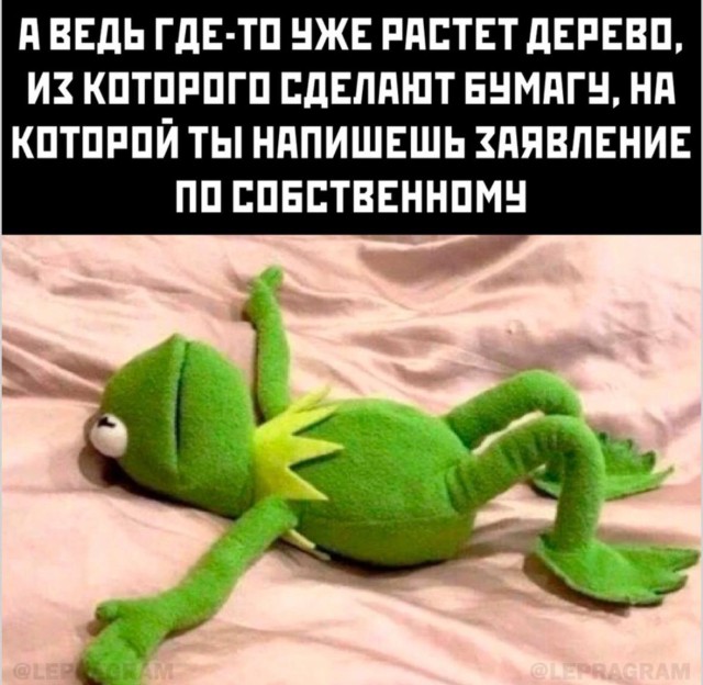 Хорошее настроение начинается с маленькой порции юмора
