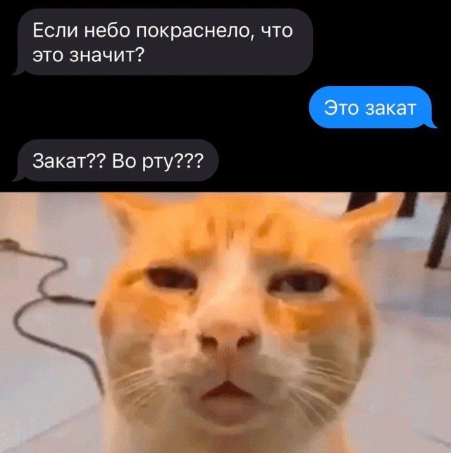Когда каждый второй мем хочется кому-нибудь отправить
