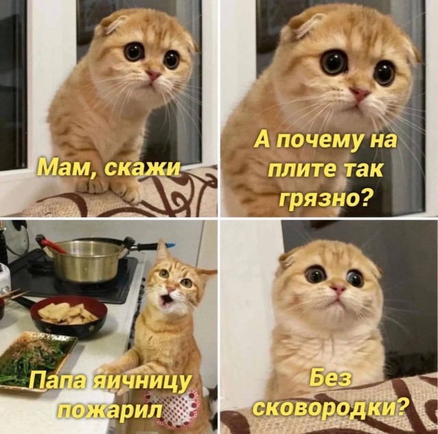 Срочная доставка хорошего настроения началась