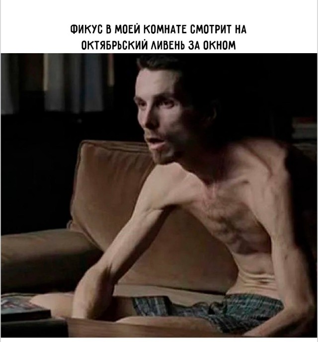 Когда хочется всего понемногу, особенно хорошего юмора