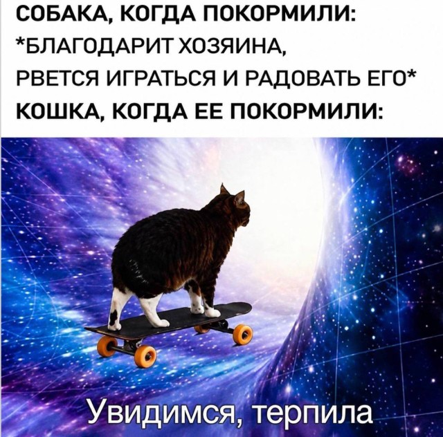 Здесь логика отдыхает, а смех работает