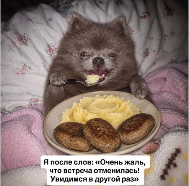 Интернет снова подкинул поводы для громкого смеха