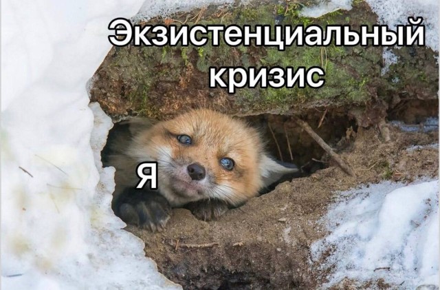 Когда обычный день внезапно становится смешным