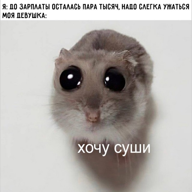 Никакой общей темы — зато каждый найдёт свой мем