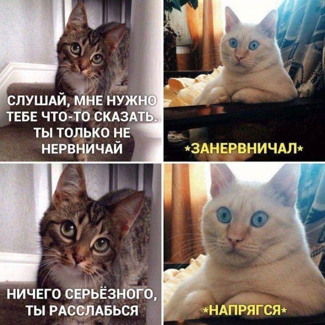 Когда хочется посмеяться, а повода и не нужно