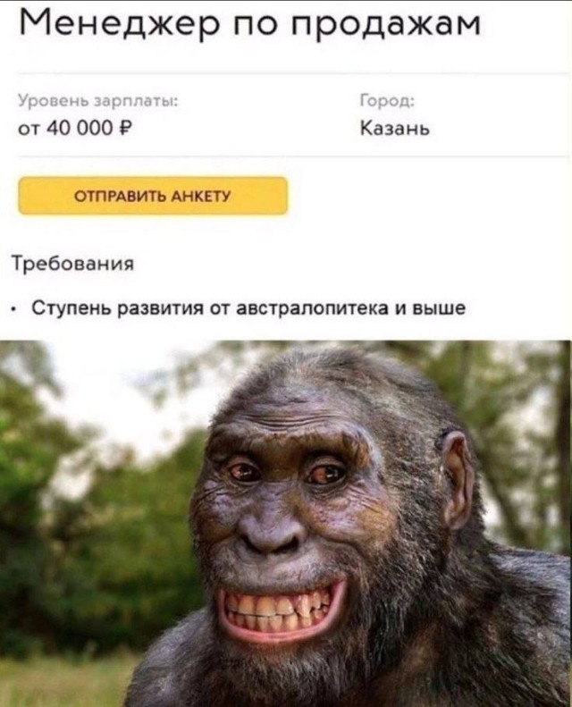 Случайные мемы, которые делают жизнь немного веселее
