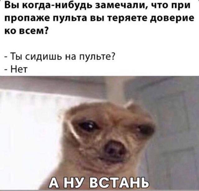 Когда реальность сама подбрасывает поводы для шуток