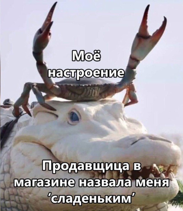 Смешные картинки, которые делают будни интереснее