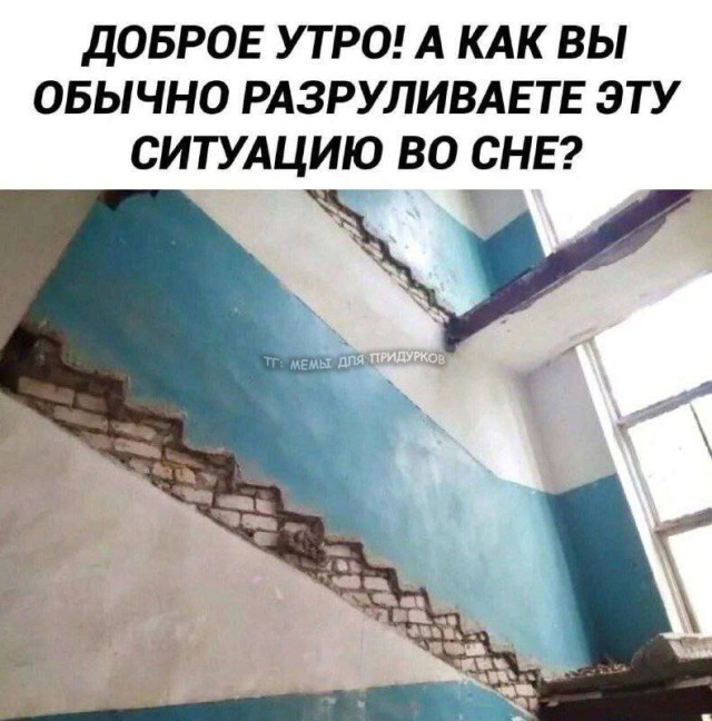 Смешные мемы без особого повода и лишних объяснений