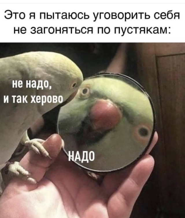 Случайный юмор, который неожиданно попадает в точку