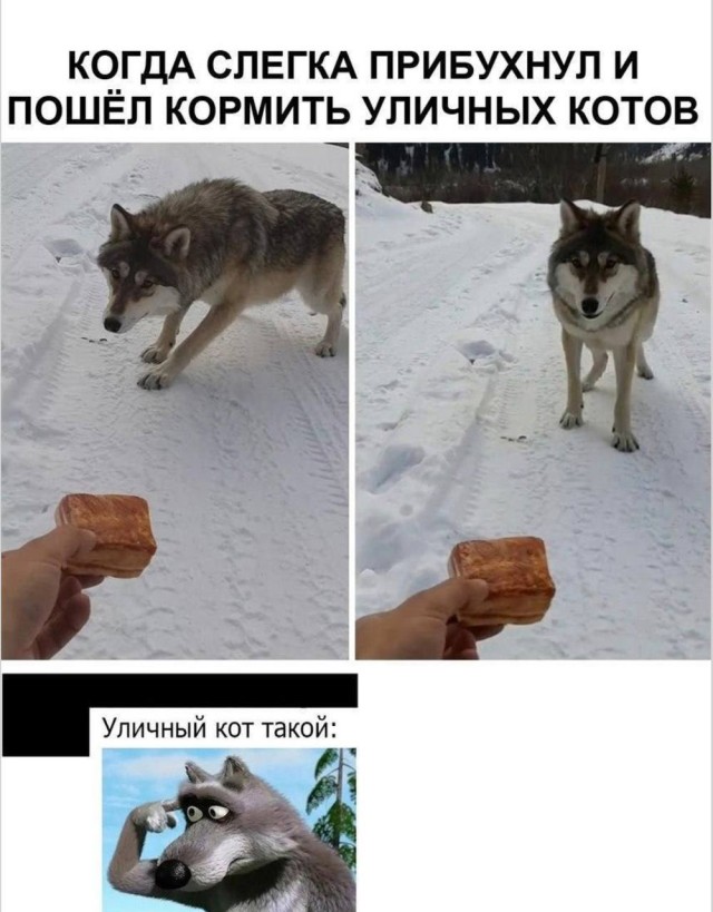 Когда хочется посмеяться: 15 мемов для души