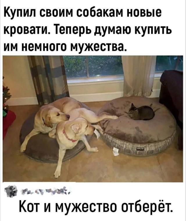 Смех без повода: 15 мемов на все случаи жизни