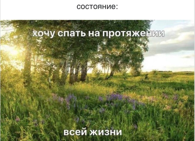 Интернет опять приготовил что-то совершенно нелепое