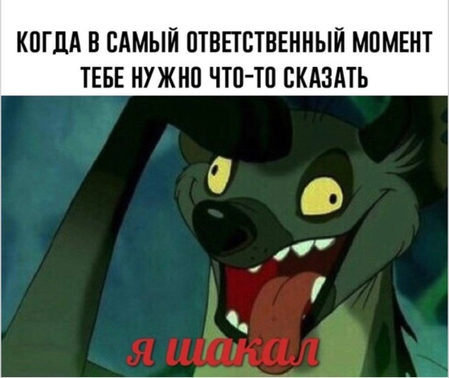Здесь собрано всё, кроме серьёзного настроения