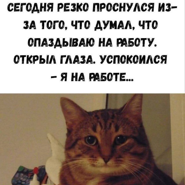 Когда обычная жизнь внезапно становится мемом