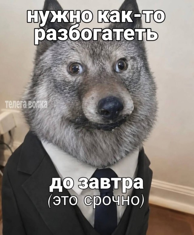 Когда интернет снова доказывает, что юмор повсюду