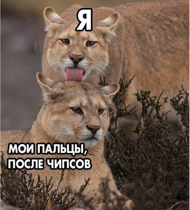 Жизнь страннее любого сценария, и вот доказательства