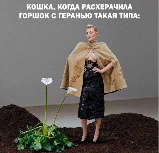 Улыбка сама появляется, когда листаешь такое