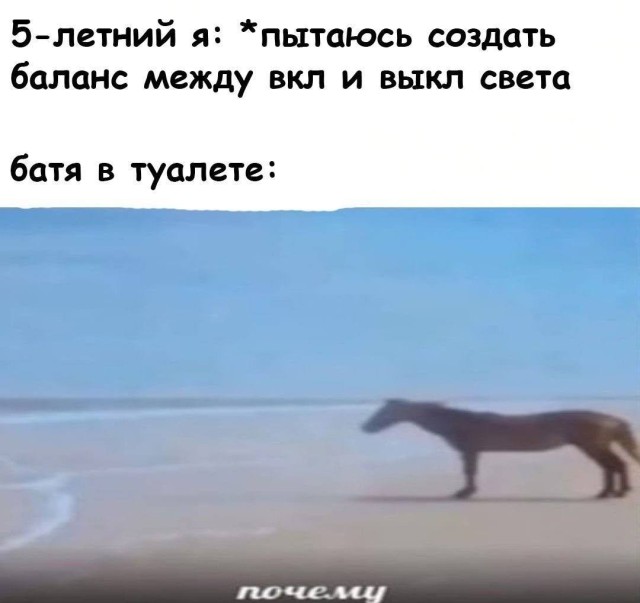 Немного хаоса, немного смеха и много узнаваемого