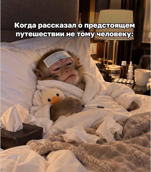 Объяснять не придётся — здесь всё понятно без слов