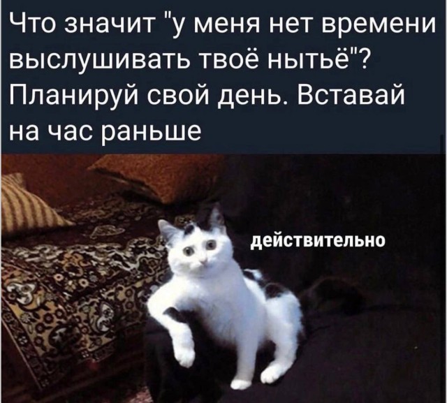 Этот мем обязательно нужно кому-нибудь отправить