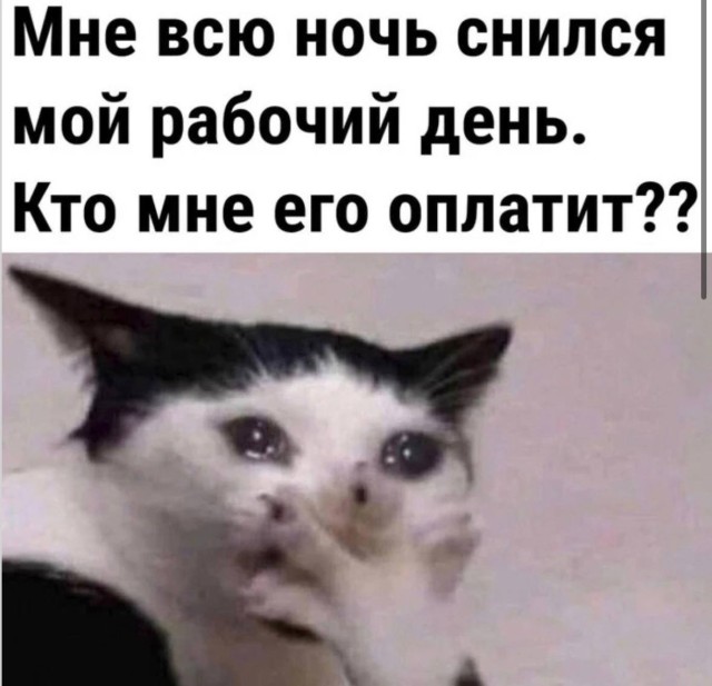 Скучать сегодня явно не входит в наши планы