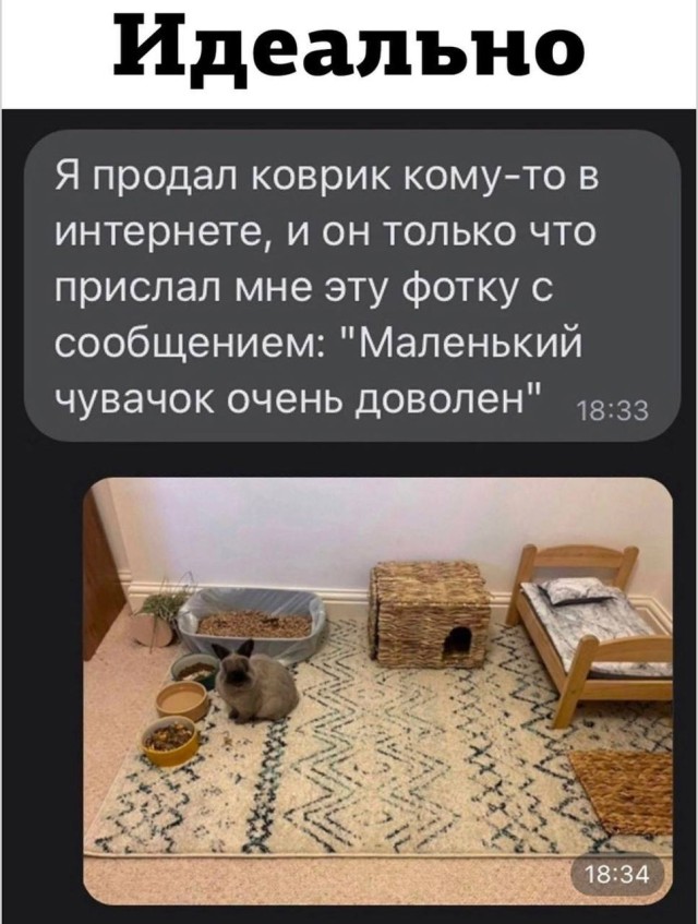 Обычные люди, странные ситуации и море мемов