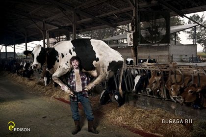 Креативная реклама (25 фото)