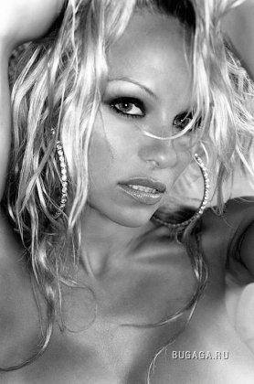 Pamela Anderson (18+)