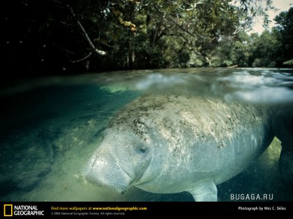Фотографии от National Geographic