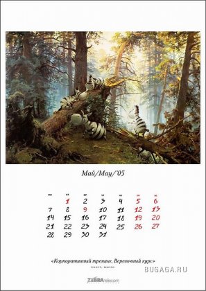 Календарь от Zebra Telecom (12 картинок)