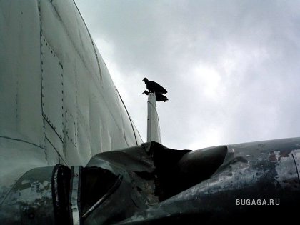 Птица против самолёта . Летять утки