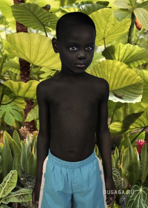 Green Gallery от Ruud van Empel.