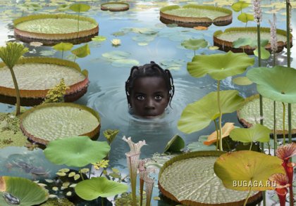 Green Gallery от Ruud van Empel.