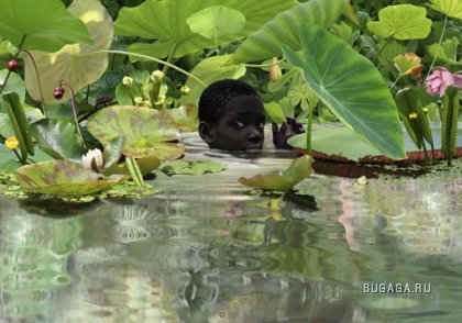 Green Gallery от Ruud van Empel.