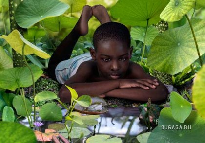 Green Gallery от Ruud van Empel.