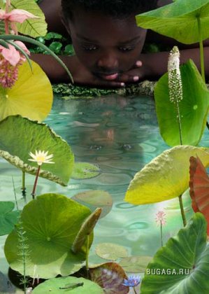 Green Gallery от Ruud van Empel.