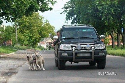 Мегабольшая подборка приколов