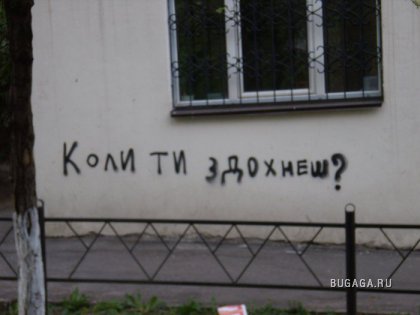 Мегабольшая подборка приколов