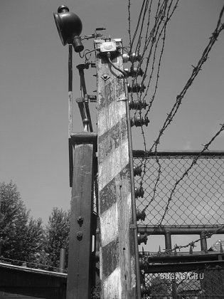 Освенцим (концентрационный лагерь)/продолжение