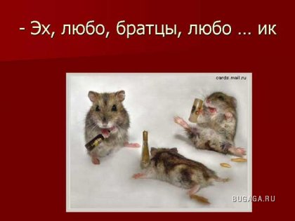 ПЬЯНСТВУ БОЙ))))))!!!!