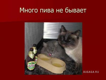 ПЬЯНСТВУ БОЙ))))))!!!!