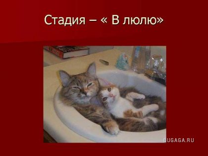 ПЬЯНСТВУ БОЙ))))))!!!!