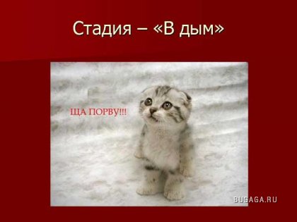 ПЬЯНСТВУ БОЙ))))))!!!!