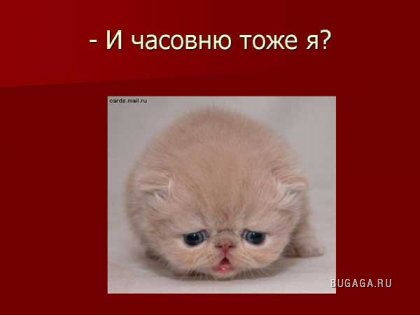 ПЬЯНСТВУ БОЙ))))))!!!!